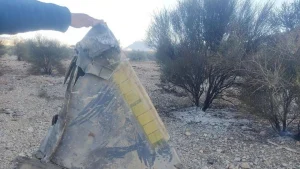 US fighter jet downed. Spencer Boyer speaks to France 24