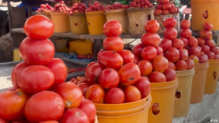 The cool solution to Nigeria’s food loss