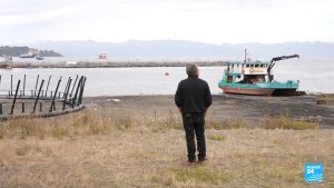 The murky waters of Chile’s salmon industry