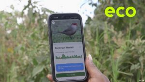 What can birdsong teach us about biodiversity?