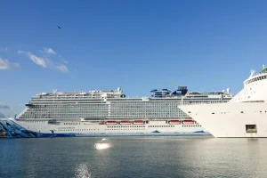 ‘This is not Covid’: France takes strict measures to contain cruise ship virus