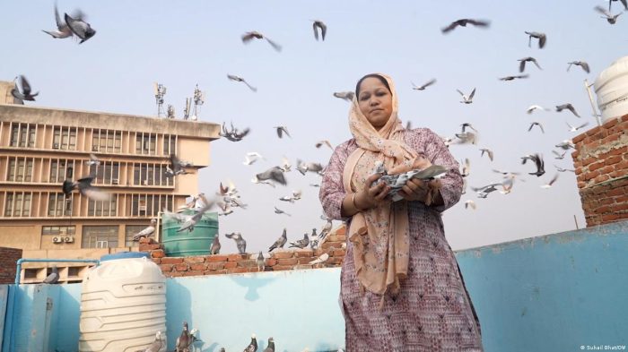 India: Meet the woman passionate about pigeon racing
