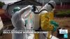 Ebola : Healthworkers in DR Congo worry for their life amid deadly outbreak