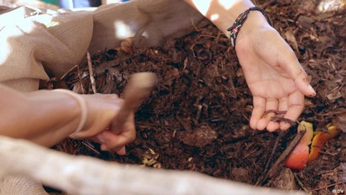 Turning sand into fertile soil: A Kenyan food experiment