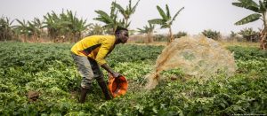 Nigeria: How religious divides worsen conflict during drought