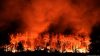 Why forest fires are becoming more frequent around the world