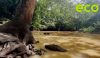 Dirty gold: Nigeria’s toxic water threat