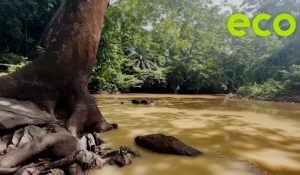 Dirty gold: Nigeria’s toxic water threat