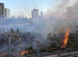 Following years of wildfires, Europe must ‘diversify’ landscapes and strengthen land management
