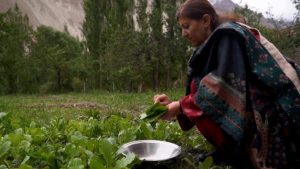 Gilgit-Baltistan: Pakistan’s tourist jewel tested by development and climate change