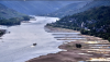 Can shipping adapt as Germany’s busiest river runs dry?