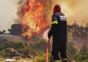 Can Germany teach Europe how to prevent wildfires?