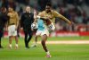Football: Brentford sign Ligue 1 star Mamadou Sangaré for €48 million
