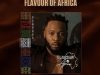 The flavours, beats and stories of Africa