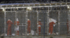 US government has decided on ‘Guantanamo forever’