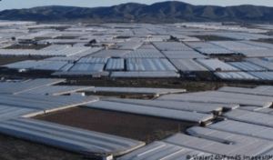 Spain, Europe’s greenhouse, is running out of water