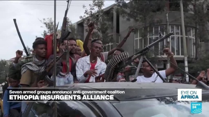 Ethiopia’s main armed groups form anti-government alliance