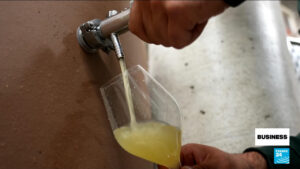 Record heat and drought make this year’s champagne stronger