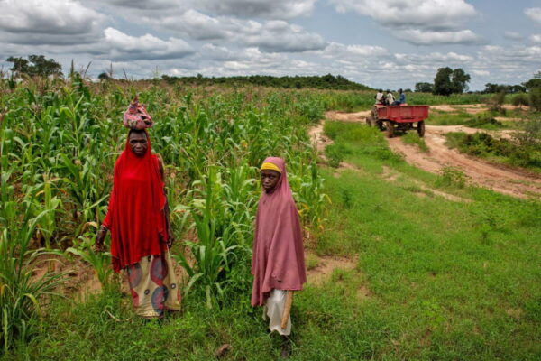 Food security under pressure from conflicts, extreme weather