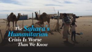 The Sahara’s humanitarian crisis is worse than we know