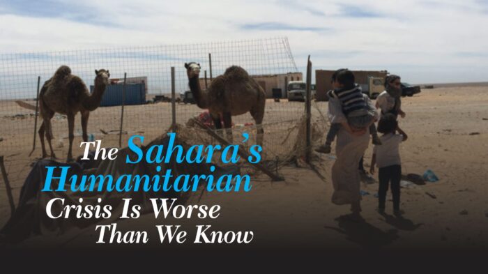 The Sahara’s humanitarian crisis is worse than we know