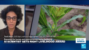 Ethiopian AI expert, Timnit Gebru, wins ‘alternative Nobel’