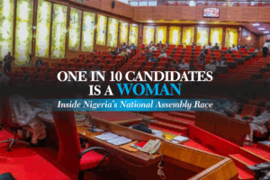 One in 10 candidates is a woman: Inside Nigeria’s National Assembly race