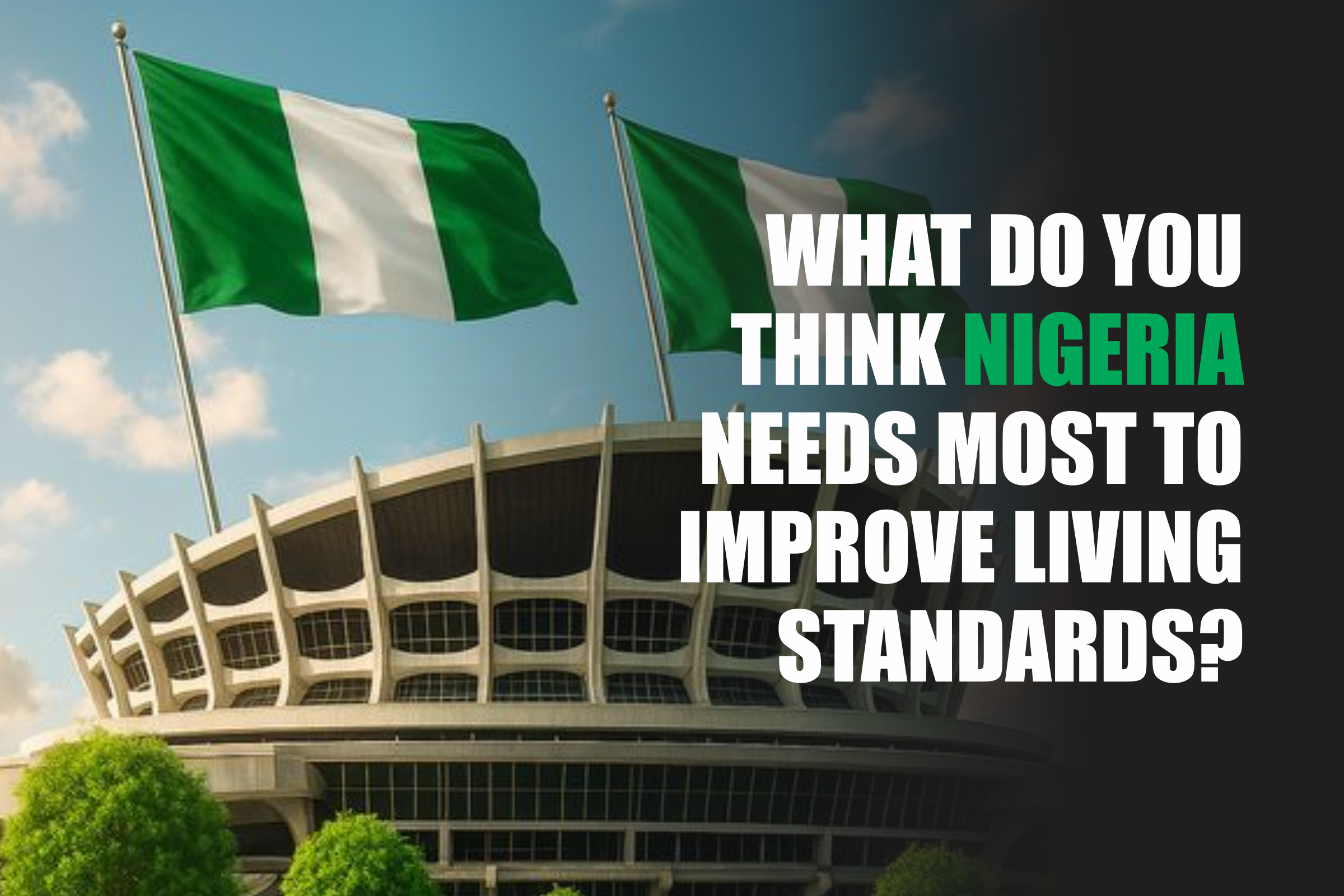 What do you think Nigeria needs most to improve living standards?