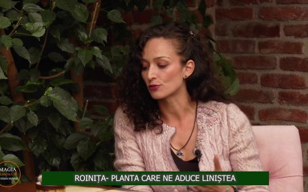 MAGIA PLANTELOR (EP 2) ROINIȚA, PLANTA CARE NE ADUCE LINIȘTEA