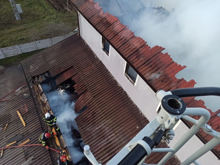 Incendiu la o moară de cereale din Sanislău