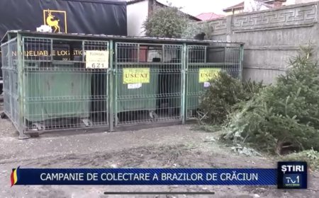 CAMPANIE DE COLECTARE A BRAZILOR DE CRĂCIUN