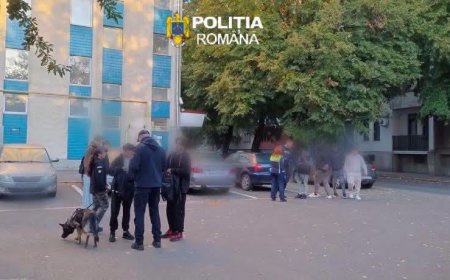 Razii în zona școlilor din Satu Mare