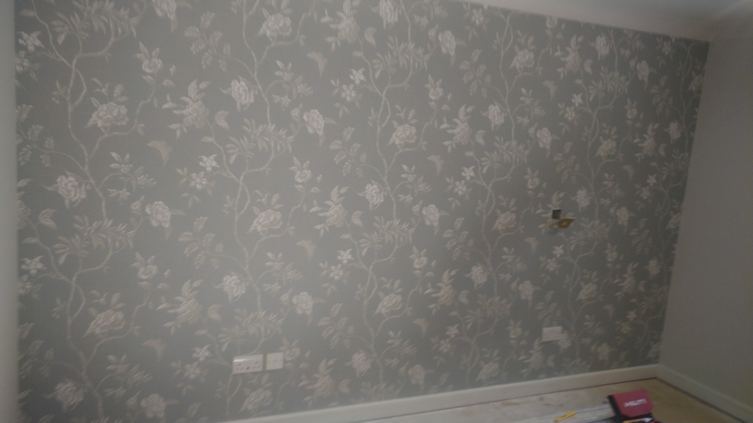 SERGIU NASALEAN work photo 1