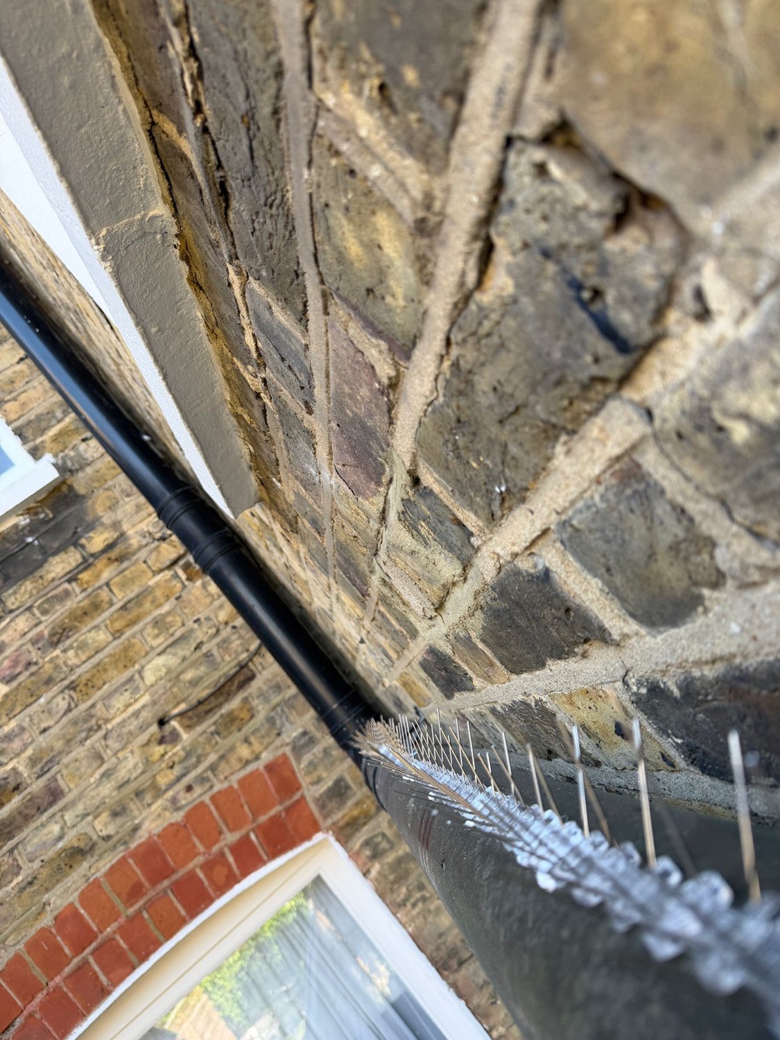 Swiftshield Pest Control work photo 2