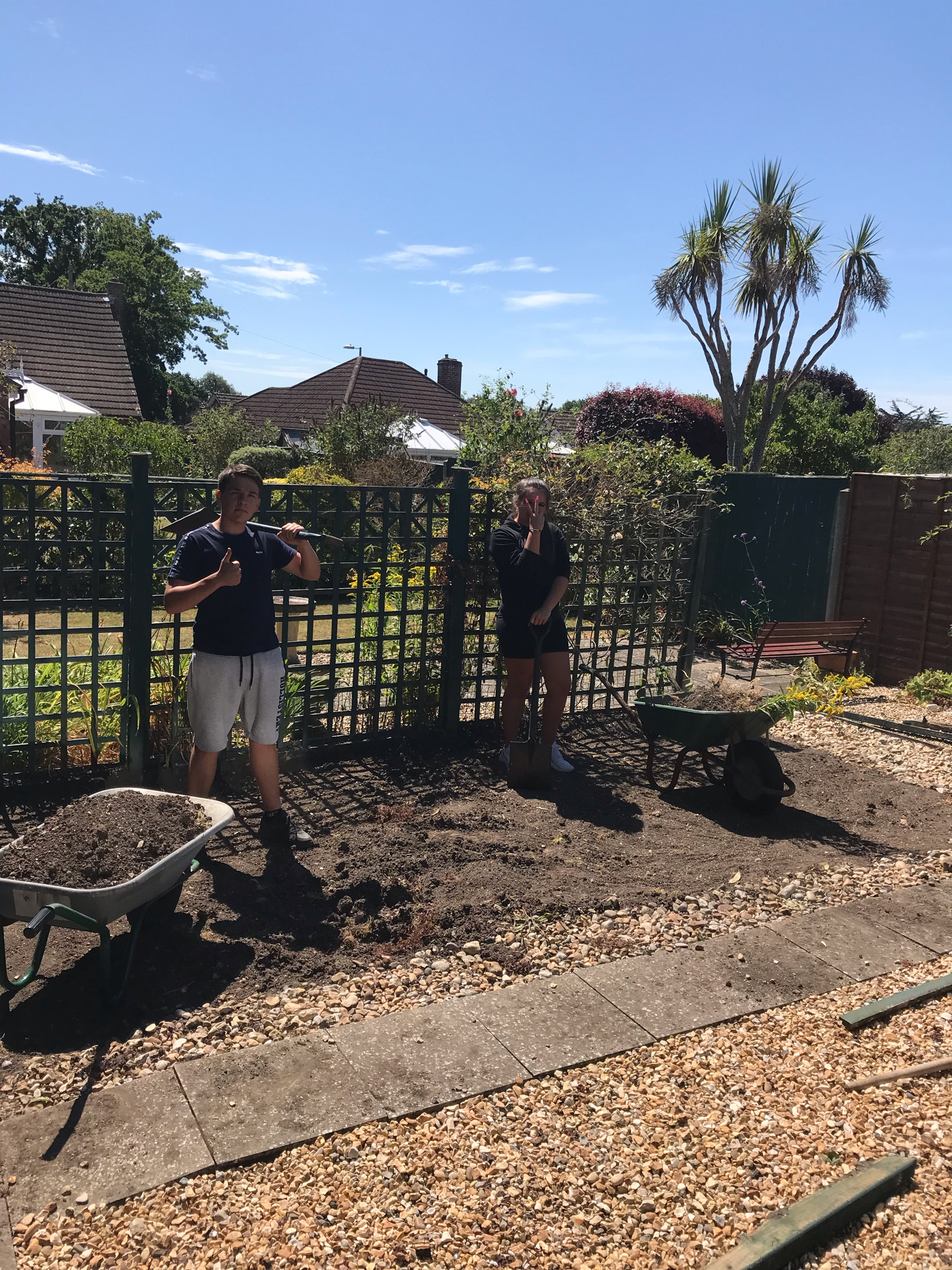 DLS Tree Services work photo 1