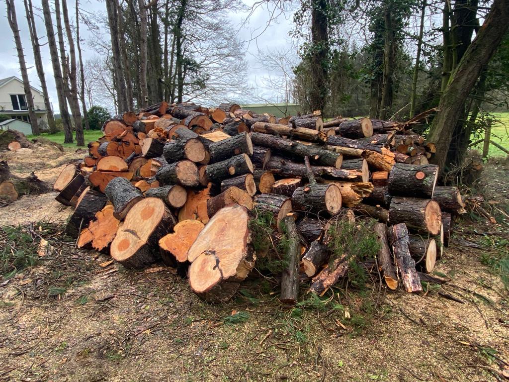 NEVE FORESTRY SERVICES work photo 4