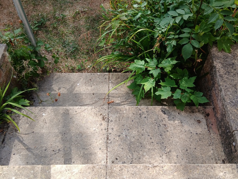 R&L Pressure Washing Services work photo 2