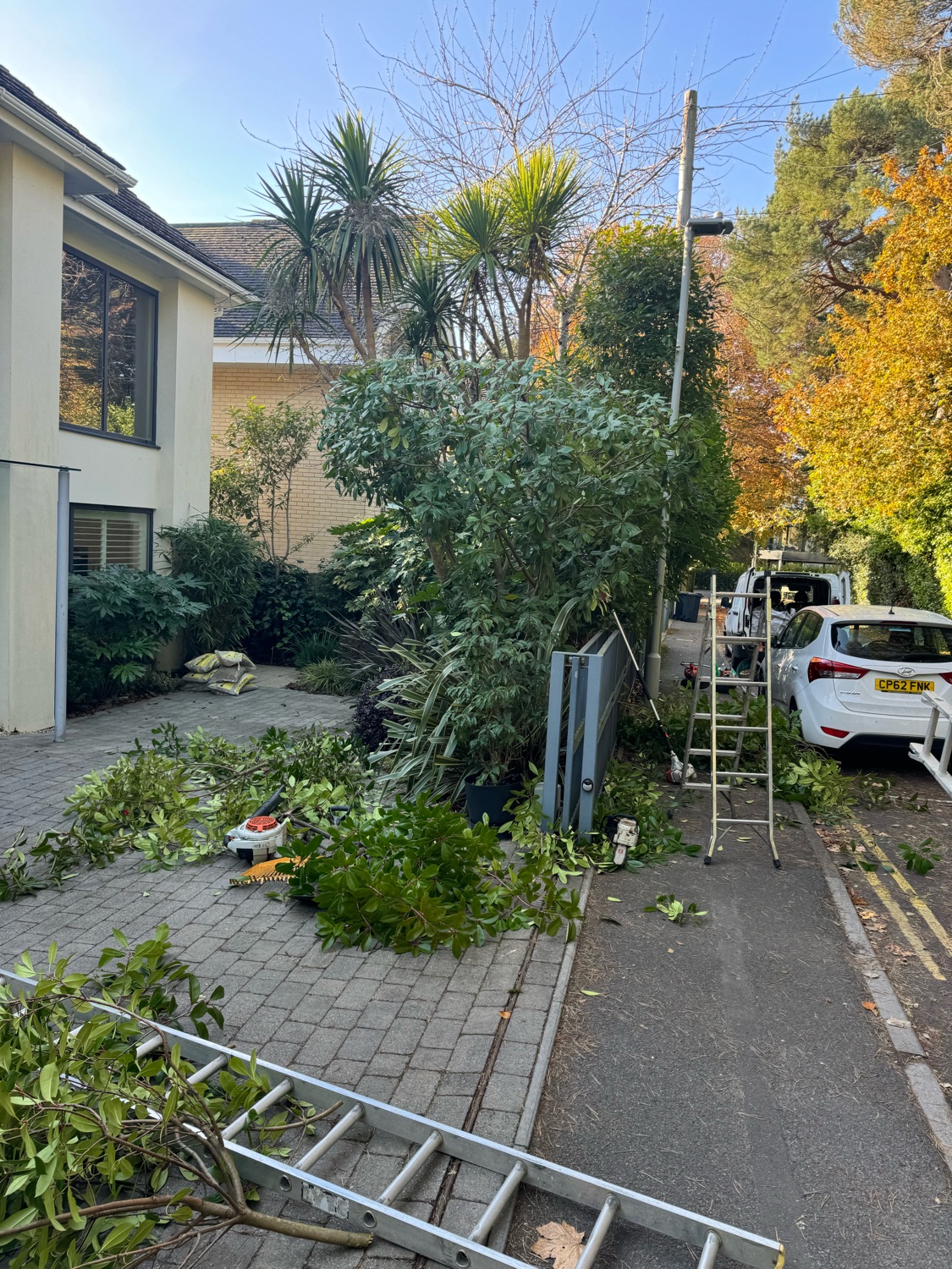 Hitec Tree & Gardening Services work photo 2