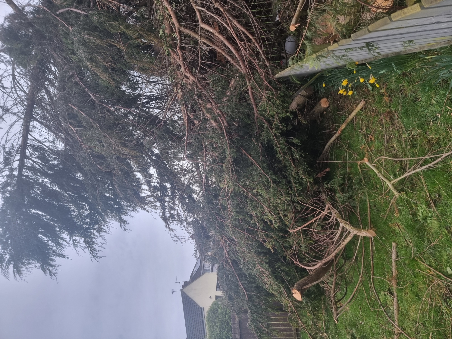 MM Tree & Garden Services work photo 3