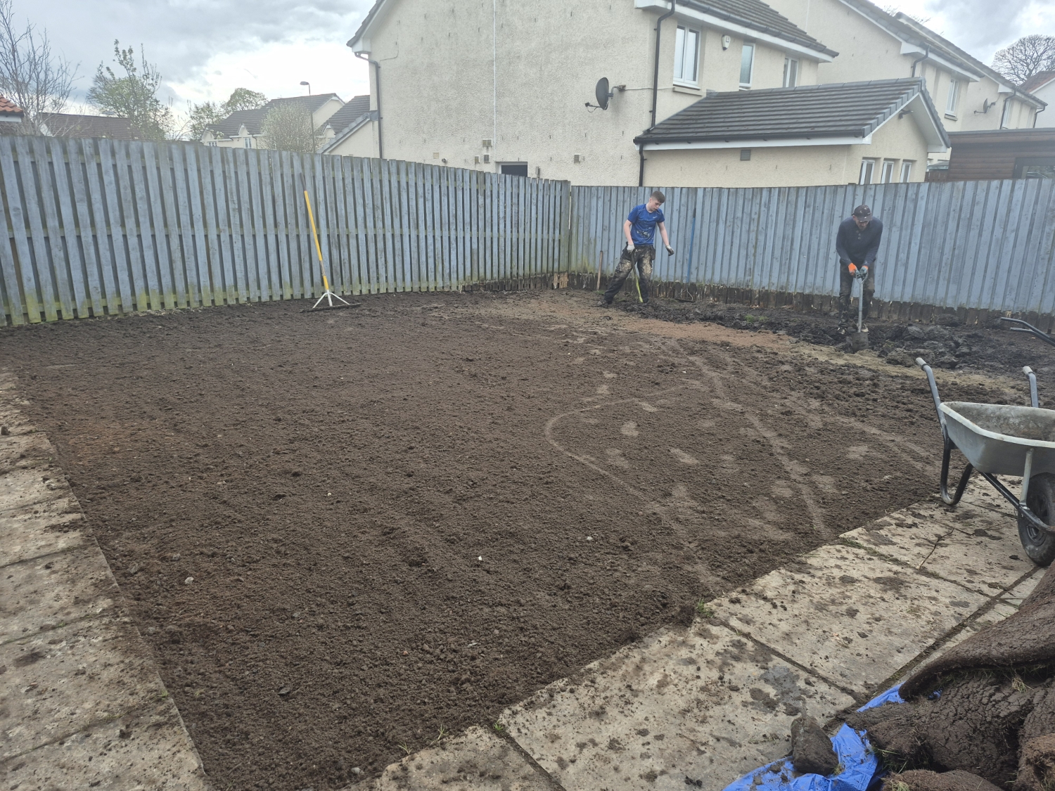 Four Seasons Tree  & Landscapes Services work photo 4