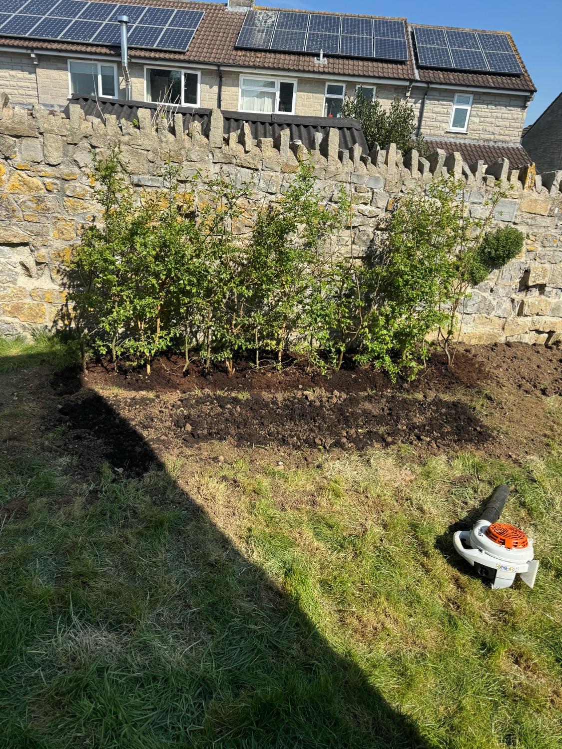 Hitec Tree & Gardening Services work photo 1