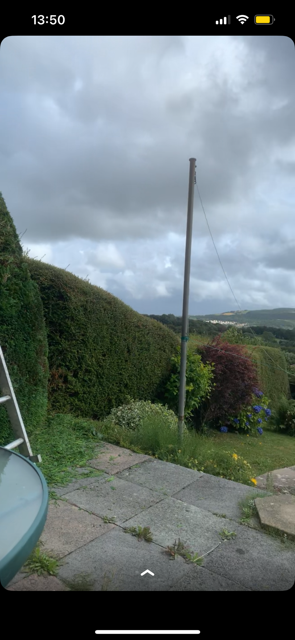 EVERGREEN work photo 3