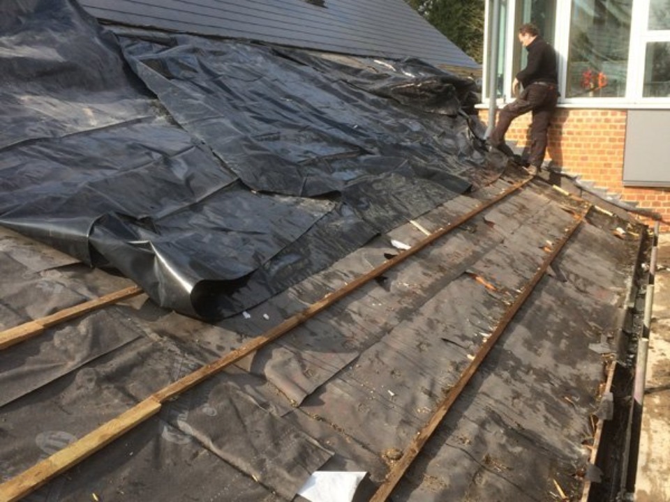 Standard Building LTD work photo 3