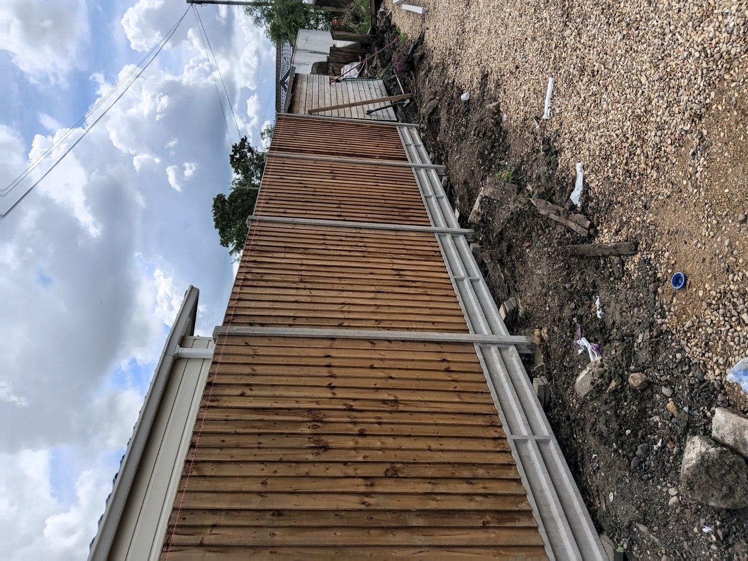 Treewise work photo 4