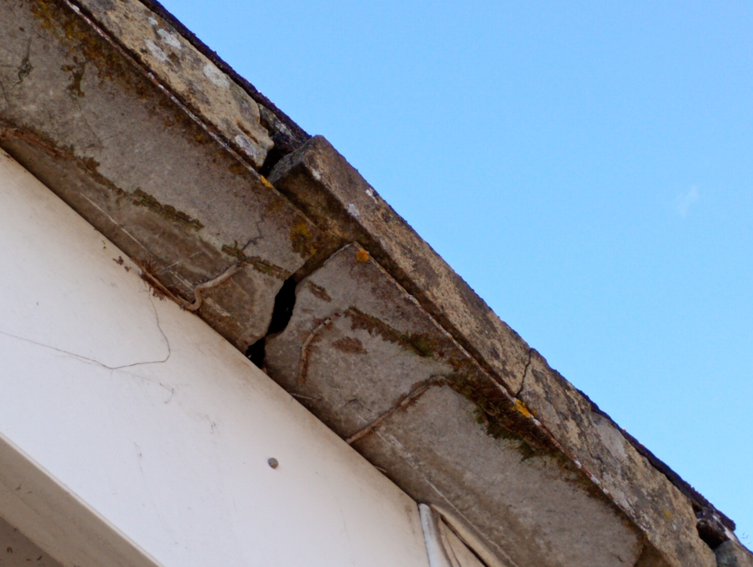 All counties contractors work photo 2