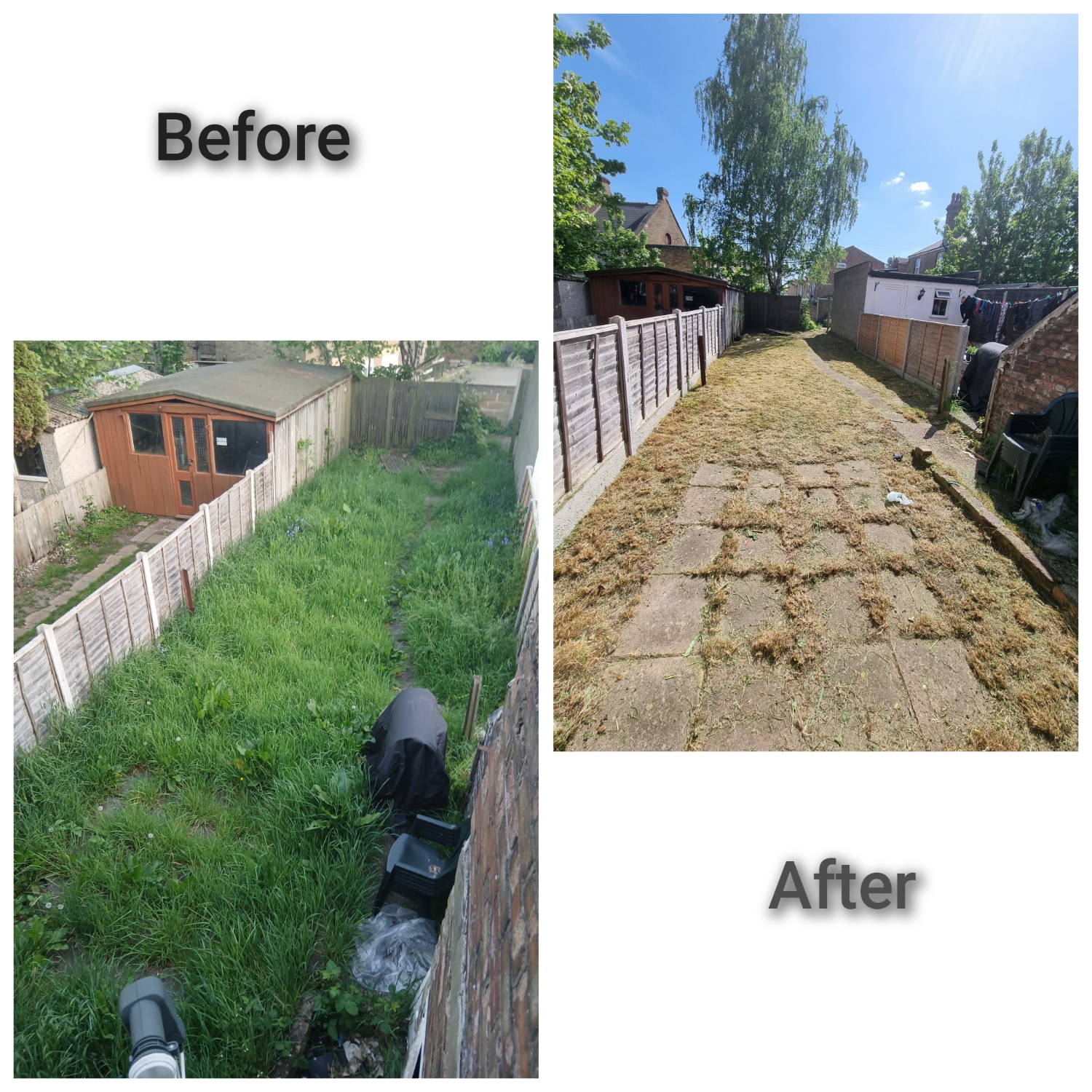 Green Lifes work photo 3