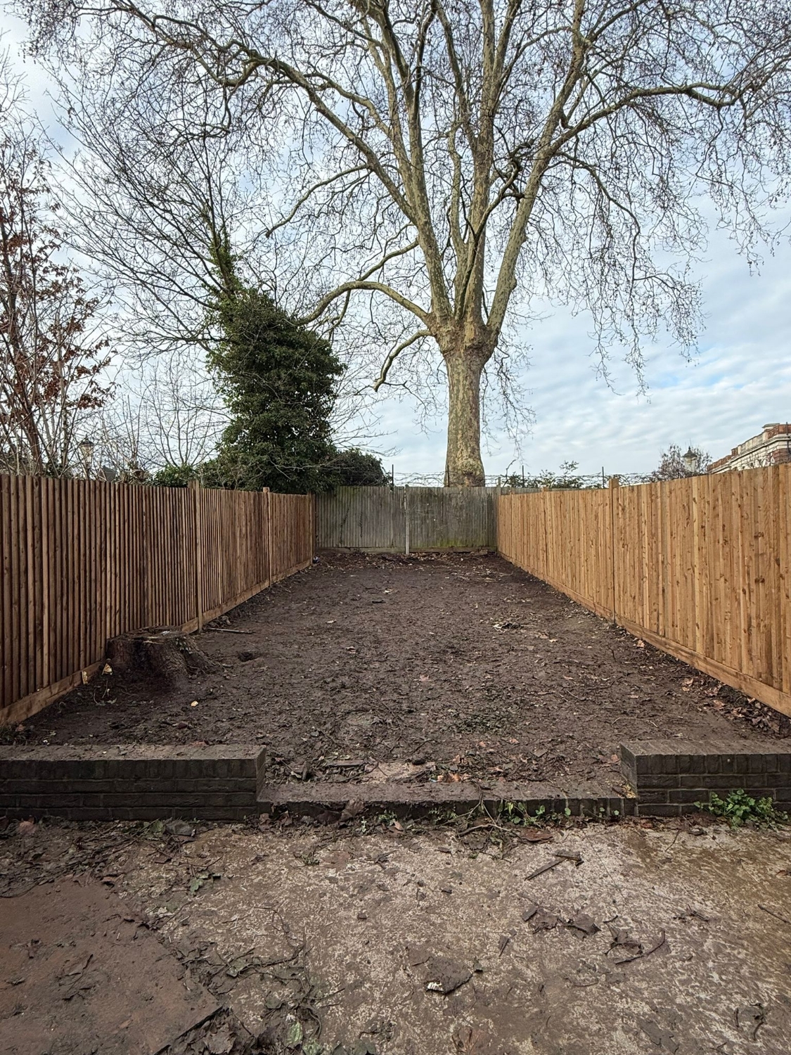 Ward Tree & Gardens work photo 1