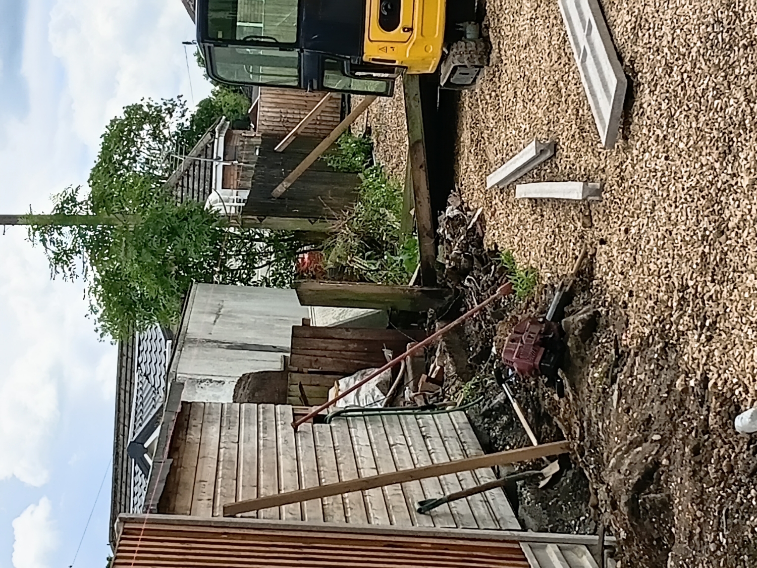 Treewise work photo 3