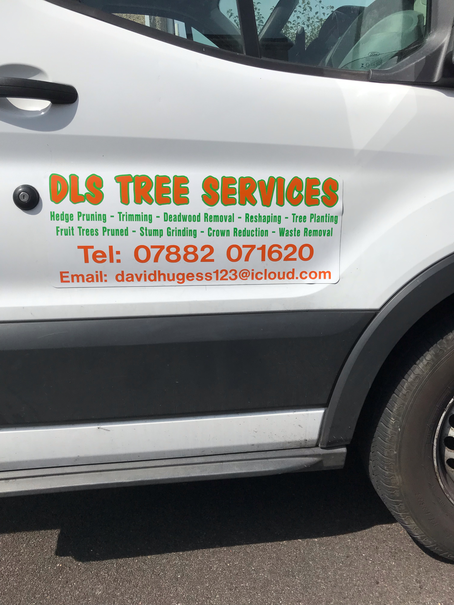 DLS Tree Services work photo 4