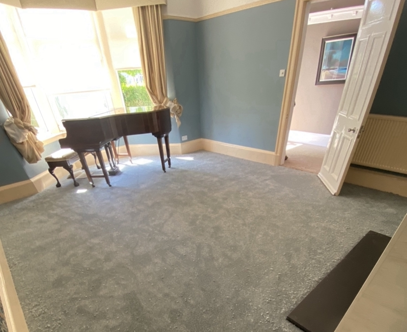 StapleCarpets work photo 1